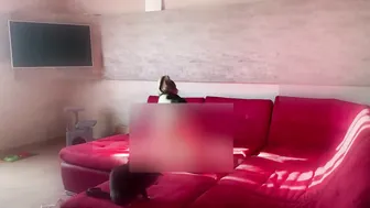 Cleaning sofa with my cat || anya p special video for fans #6