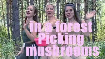 in a forest Picking mushrooms video | Anya P. life with friends #1