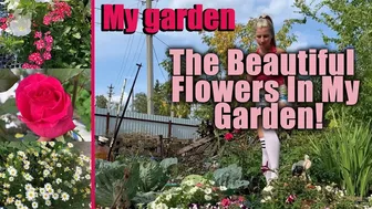 The Beautiful Flowers In My Garden! ???? || anya p special video for fans