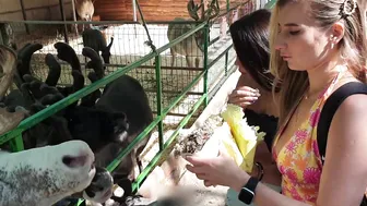 Anya and Josie feeding animals in a zoo part 1 #3