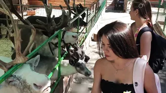 Anya and Josie feeding animals in a zoo part 1 #4