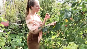 HUGE HARVEST!! Garden Update || anya special video #9