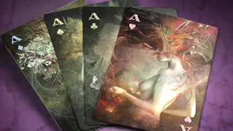 Fantasy Art Models Reveal the Secret Poker Deck Hidden Inside Tarot. #8