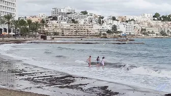 Figueretas en otoño | Ibiza Beachwalk (España) [4K] #8