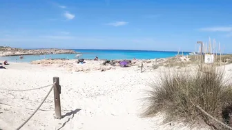 Un paseo por la PLAYA de ES TRUCADORS (Formentera) #3