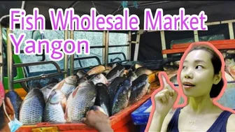 A WHOLESALE FISH MARKET IN YANGON//Exploring by Julia//♥️♥️ #1