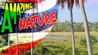 Amazing Nature in Thailand 2023 ????