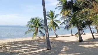 A beautiful Beach in Thailand #6