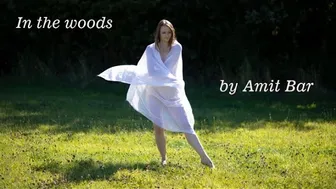 Art video: In the woods by Amit Bar