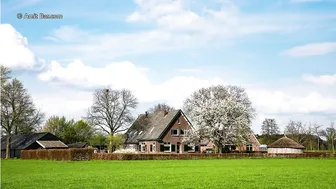 Springtime in De Achterhoek by Amit Bar #4