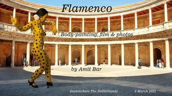 Art video: Flamenco by Amit Bar