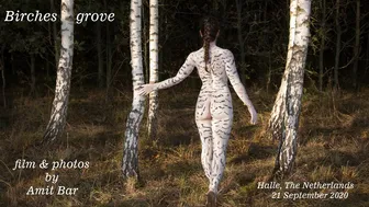 Art video: Birches grove body-painting by Amit Bar