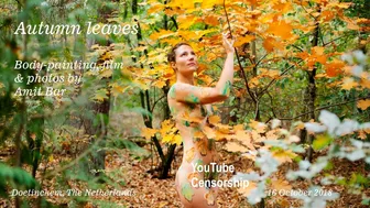 Art video: Autumn leaves by Amit Bar