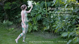 Art video: Giant Hogweed by Amit Bar