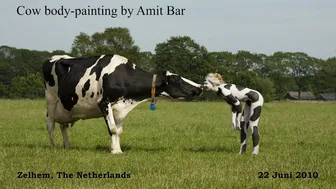 Art video: Cow Body-painting by Amit Bar #1