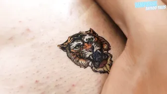 TEMPORARY TATTOO | Magic tattoo Tiger ✨♥️♥️♥️♥️ #023 #9