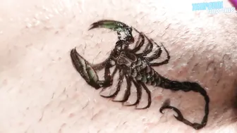 TEMPORARY TATTOO | Magic tattoo Beautiful Scorpion ♥️♥️ #011 #10