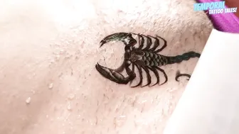 TEMPORARY TATTOO | Magic tattoo Beautiful Scorpion ♥️♥️ #011 #9