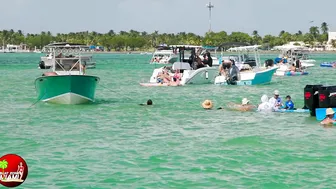 Beautiful Girls In TROUBLE at Haulover Sandbar | BOAT ZONE MIAMI #2