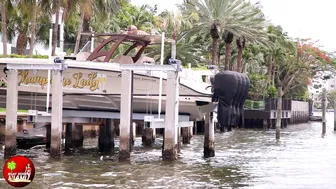 HEAVEN OF BIKINI GIRLS AT HAULOVER SANDBAR | BOAT ZONE MIAMI #6