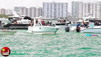 Miss Sandbar! HAULOVER INLET SANDBAR ( Memorial Weekend ) BOAT ZONE MIAMI #7