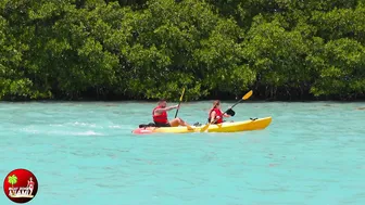 HOT BIKINIS OVERLOAD! HAULOVER SANDBAR | BOAT ZONE MIAMI #2