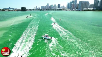 HAULOVER INLET SANDBAR - THE BEST BOAT LIFE | BOAT ZONE MIAMI №2 #5