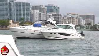 HAULOVER Boat RAMP - SANDBAR LIFE | BOAT ZONE MIAMI #7