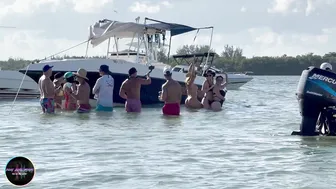 REGATTA WEEKEND AT HAULOVER SANDBAR | BOAT ZONE MIAMI #2