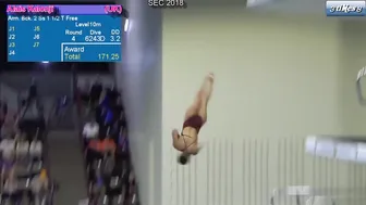 Women's Diving | Featured Armstand Dive 1 (Handstand Dive​) | #diving #watersport #sports #2