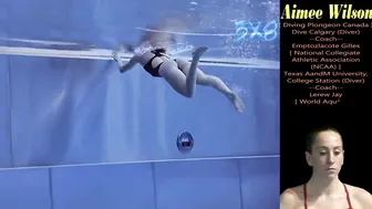 Women's Diving | Aimee Wilson | Bolzano 2023 | 1M ＆ 3M Springboard Highlight #diving #sports #7