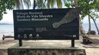 Manzanillo Natural Reserve Costa Rica | Walk With Me #2