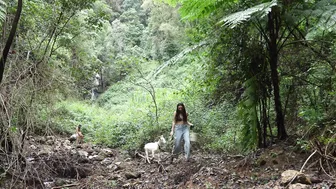 Off Grid Life in an Ancient Volcano: Restoring the Rainforest #3