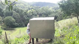 Zero-Waste Building in the Rainforest - an Off Grid Tiny House for my Ducks! #5