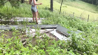 Zero-Waste Building in the Rainforest - an Off Grid Tiny House for my Ducks! #6