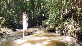 Living in Nature’s Rhythms: Off Grid in the Australian Rainforest #2