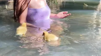 Taking My Ducklings For Their First Swim in the Stream #4