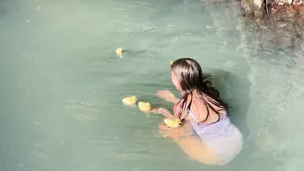 Taking My Ducklings For Their First Swim in the Stream #7