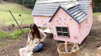 Hot Days of Hard Work: Building a Permaculture Garden on our Rainforest Farm #2