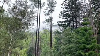 Hot Days of Hard Work: Building a Permaculture Garden on our Rainforest Farm #8