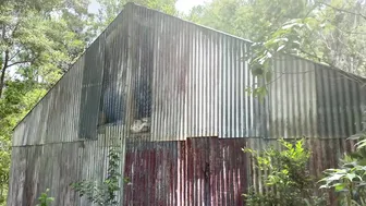 How We Learned to Build in the Rainforest: Start to Finish Off-Grid Building #3