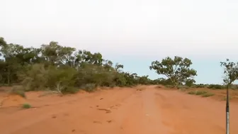 Showering With Deadly Redback Spiders! A Day In The Life In The Australian Outback #2