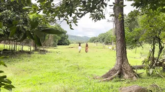 Australian Autumn Routines In Our Permaculture Food Forest #3