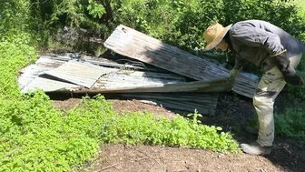 What We Do In A Day: Shed Building, Fruit Foraging and Swimming! #3