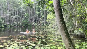 Canoeing To A Hidden Orchard In Our Magical Permaculture Food Forest! #3