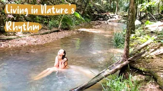 Daily Routines In The Australian Rainforest