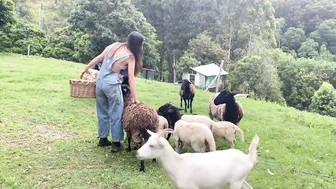 Daily Routines In The Australian Rainforest #2