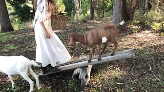 Foraging For Natural Dyes In The Australian Bush! Dyeing My Clothes In Nature #4