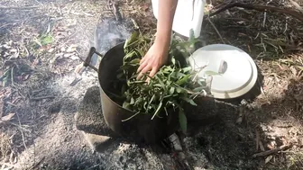 Foraging For Natural Dyes In The Australian Bush! Dyeing My Clothes In Nature #8