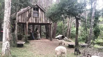 Moving In To Our Magical Treehouse and Rainforest Cabin #2